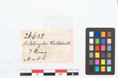 Etikett zu Bronzering (NHMW-PRAE-026637)